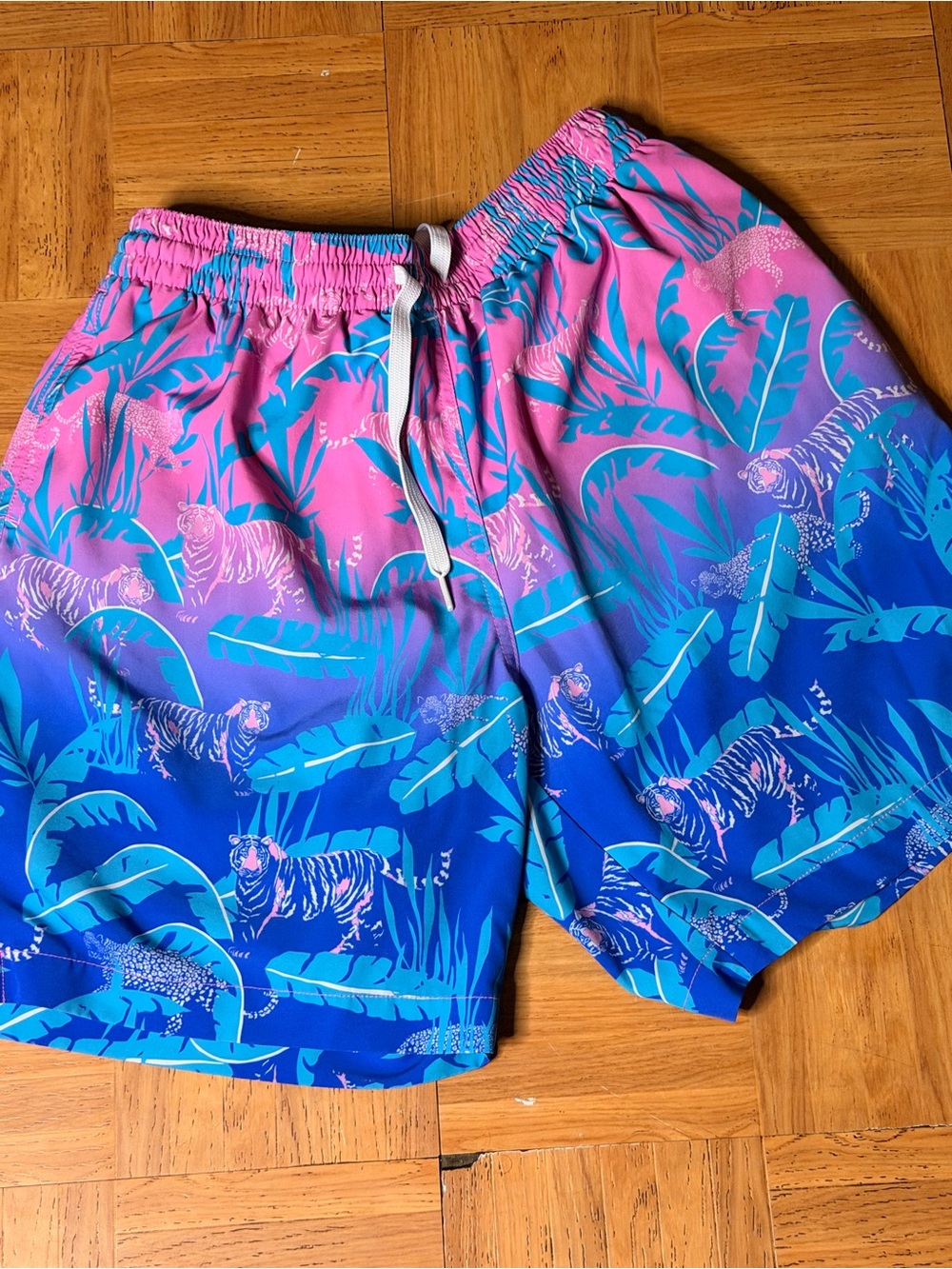 Chubbies men's swim shorts